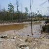 4/19/02 Beaver Dam Destruction